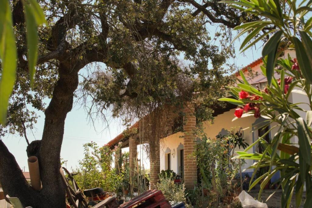 Villa Aproveite O Sabor Do Alentejo Vila Verde de Ficalho Exterior foto